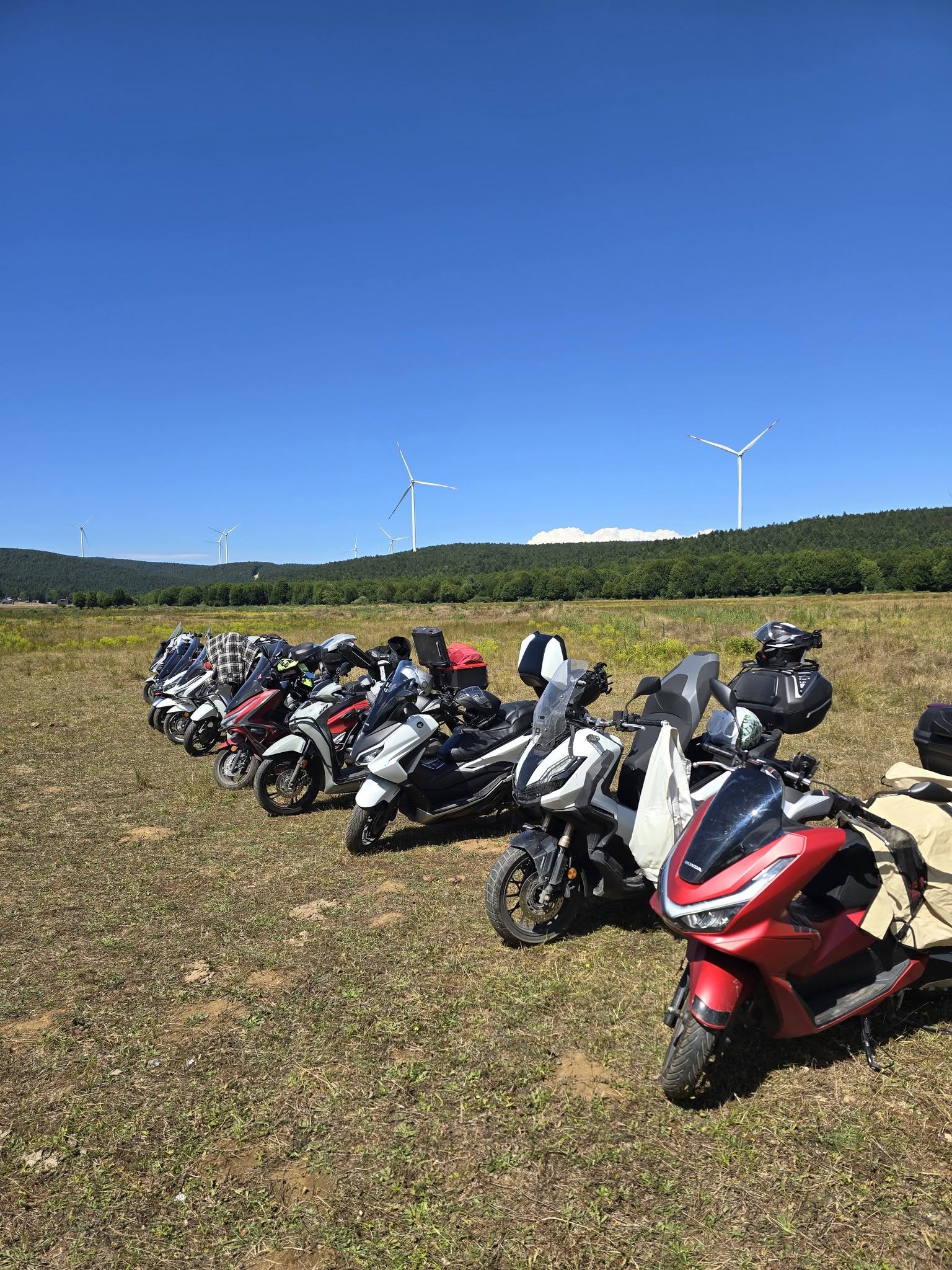 Bir etkinlikte yan yana park edilmiş PCX'ler